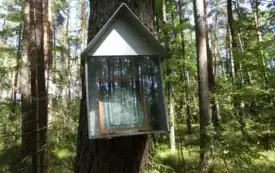 Batalion Las, do kt&oacute;rego należał pułkownik, wielokrotnie opisywany w literaturze oddział partyzancki działający w ramach 74 pp. AK, powstał podczas koncentracji w rejonie wsi i obozu Pękowiec w końcu  6