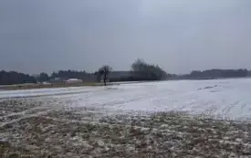 Batalion Las, do kt&oacute;rego należał pułkownik, wielokrotnie opisywany w literaturze oddział partyzancki działający w ramach 74 pp. AK, powstał podczas koncentracji w rejonie wsi i obozu Pękowiec w końcu  15