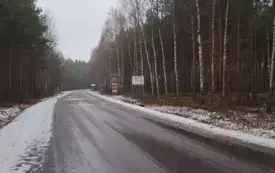 Batalion Las, do kt&oacute;rego należał pułkownik, wielokrotnie opisywany w literaturze oddział partyzancki działający w ramach 74 pp. AK, powstał podczas koncentracji w rejonie wsi i obozu Pękowiec w końcu  16