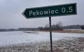 Batalion Las, do kt&oacute;rego należał pułkownik, wielokrotnie opisywany w literaturze oddział partyzancki działający w ramach 74 pp. AK, powstał podczas koncentracji w rejonie wsi i obozu Pękowiec w końcu  17