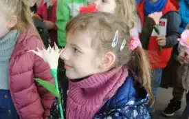 Wiosna zawitała do włoszczowskiego magistratu. 19