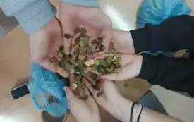 Uczniowie w Koniecznie wiedzą, że każdy grosz jest na wagę złota. 6