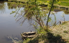 Wiosna w gminie Włoszczowa. 12