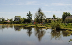 Wiosna w gminie Włoszczowa. 13