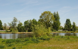 Wiosna w gminie Włoszczowa. 17