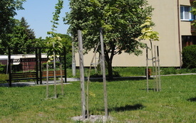 Wiosna w gminie Włoszczowa. 18