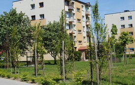 Wiosna w gminie Włoszczowa. 19