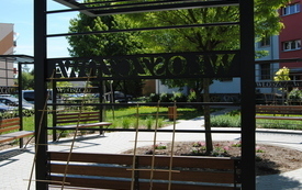 Wiosna w gminie Włoszczowa. 20