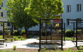 Wiosna w gminie Włoszczowa. 21