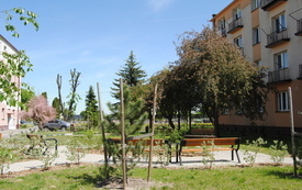 Wiosna w gminie Włoszczowa. 23