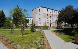 Wiosna w gminie Włoszczowa. 24