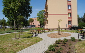 Wiosna w gminie Włoszczowa. 25