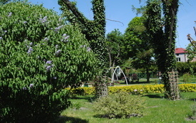 Wiosna w gminie Włoszczowa. 28