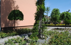 Wiosna w gminie Włoszczowa. 30