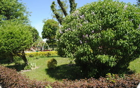 Wiosna w gminie Włoszczowa. 33