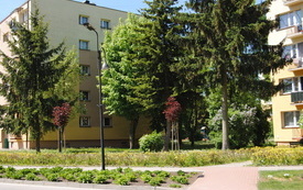 Wiosna w gminie Włoszczowa. 35