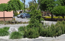 Wiosna w gminie Włoszczowa. 38