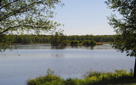 Wiosna w gminie Włoszczowa. 39