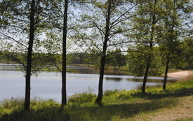 Wiosna w gminie Włoszczowa. 40