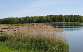 Wiosna w gminie Włoszczowa. 43