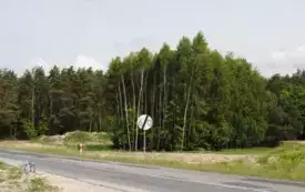 Budowa drugiej nitki objazdu Włoszczowy. 50