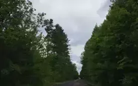 Remont drogi wojew&oacute;dzkiej w Międzylesiu. 3