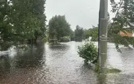 Mieszkańcy gminy Włoszczowa walczą z żywiołem. 8