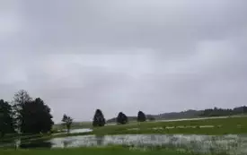 Mieszkańcy gminy Włoszczowa walczą z żywiołem. 35