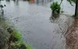 Mieszkańcy gminy Włoszczowa walczą z żywiołem. 44