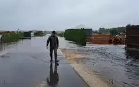 Mieszkańcy gminy Włoszczowa walczą z żywiołem. 57