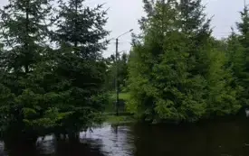 Mieszkańcy gminy Włoszczowa walczą z żywiołem. 68