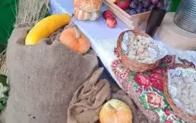 14 września 2025 r. odbyły się dożynki parafialne w Kurzelowie, aby podziękować za tegoroczne plony. 41