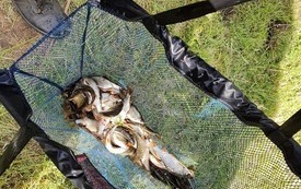 Koło Miejskie Polskiego Związku Wędkarskiego we Włoszczowie w minioną niedzielę zorganizowało zawody dla dzieci na Biadaszku. 18