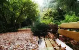 kula armatnia znaleziona w Czarncy może okazać się ważnym śladem bitewnym. 1