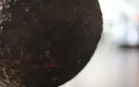 kula armatnia znaleziona w Czarncy może okazać się ważnym śladem bitewnym. 9