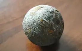 kula armatnia znaleziona w Czarncy może okazać się ważnym śladem bitewnym. 11