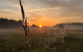 Fotografia to hobby Grzegorza Dziubka - burmistrza Włoszczowy. 5