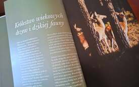 Fragmenty wydawnictwa. 17