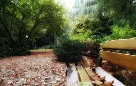 Arboretum w Czarncy będzie nosić imię Mariana Chudzińskiego 1