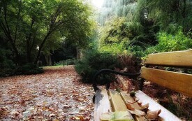 Arboretum w Czarncy będzie nosić imię Mariana Chudzińskiego 2