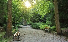 Arboretum w Czarncy będzie nosić imię Mariana Chudzińskiego 3