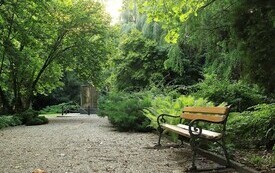 Arboretum w Czarncy będzie nosić imię Mariana Chudzińskiego 4