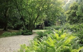 Arboretum w Czarncy będzie nosić imię Mariana Chudzińskiego 6