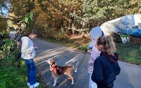 Uczniowie z pomocą dla bezdomnych zwierząt. Dary trafiły do schroniska w Rytlowie 4