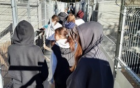 Uczniowie z pomocą dla bezdomnych zwierząt. Dary trafiły do schroniska w Rytlowie 5