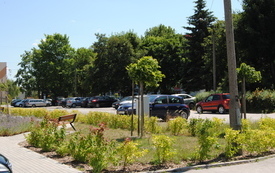 Gmina podpisała umowę z firmą Dukt na remont drogi, na osiedlu Brożka. 4