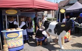 Wojew&oacute;dzkie Święto Policji w Chęcinach. 5
