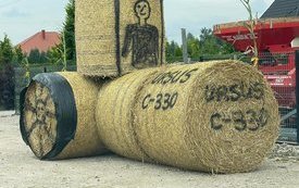 Pracowite gospodynie z Łachowa tryskały pomysłami i poświęciły wiele czasu na wykonanie słomianych witaczy. 6