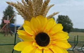 Pracowite gospodynie z Łachowa tryskały pomysłami i poświęciły wiele czasu na wykonanie słomianych witaczy. 7