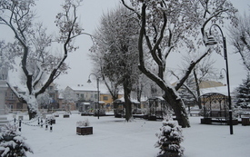 Włoszczowski Rynek w śnieżnej szacie. 6